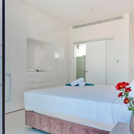 Sunrise Seaview - Camelia *